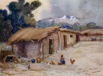 A Paisanos Hut on the Chilian Frontier